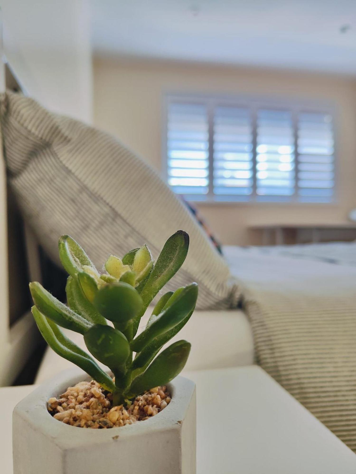 ロンドン Adel'S House Bed & Breakfast エクステリア 写真